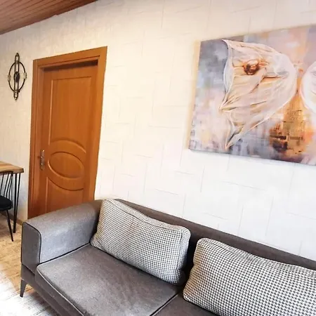 アパート Findikzade Seaside Flats In Lively Fatih Area Very Near Metro And Tourist Sights イスタンブール
